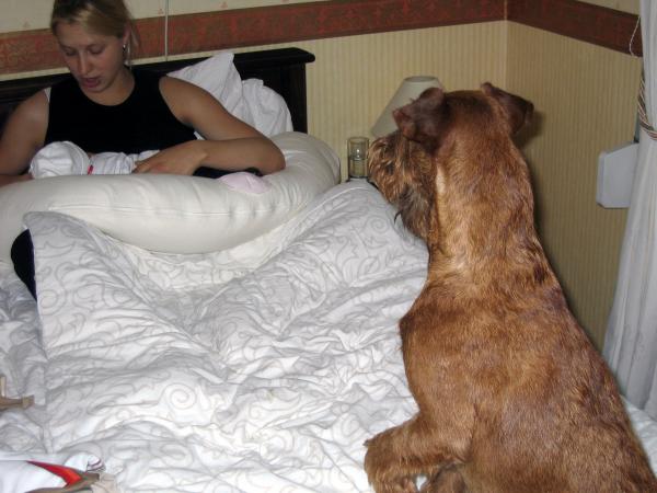 Floyd kijkt van afstand toe, geplaatst door papa Boudewijn op 2004-06-08