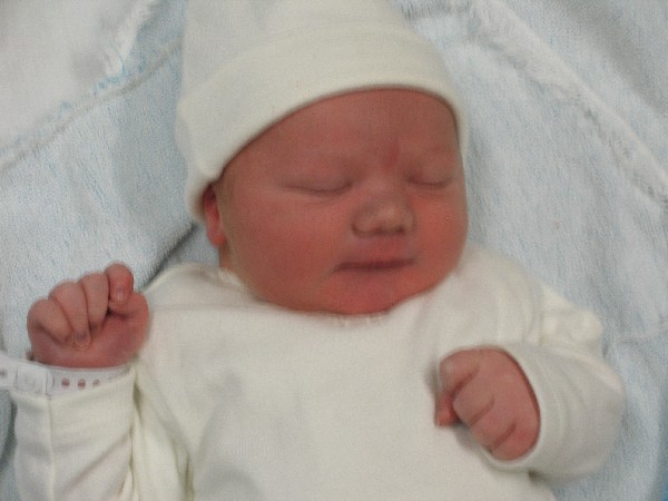 Net na de geboorte - Merijn ligt te slapen, geplaatst door papa Boudewijn op 2004-06-03