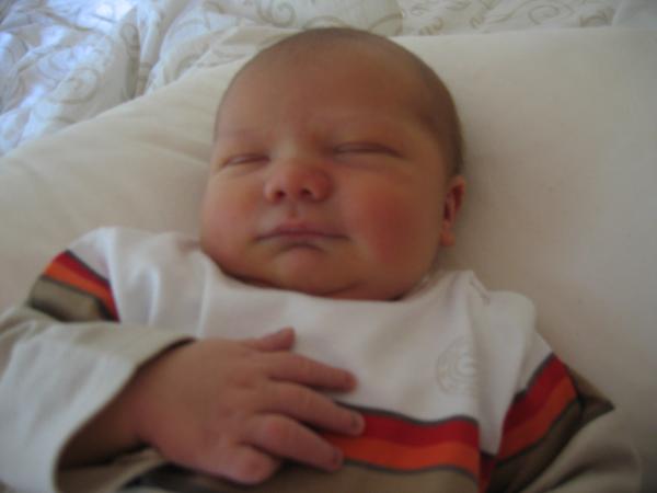 Merijn in beeld, geplaatst door papa Boudewijn op 2004-06-08