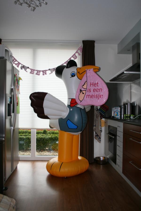 Geboorte ooievaar!, geplaatst door mama Lizanne op 2007-11-03