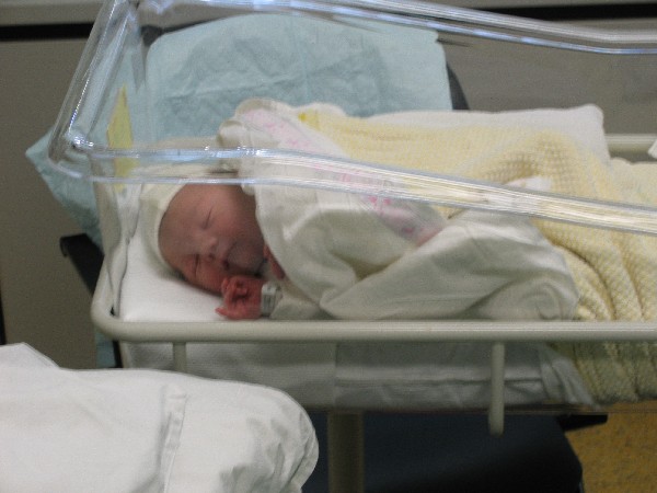 Net na de geboorte - Merijn ligt te slapen in z'n eerste 'bedje', geplaatst door papa Boudewijn op 2004-06-03