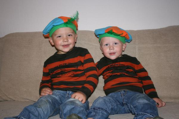 Merijn en Jesse., geplaatst door mama Lizanne op 2007-11-21