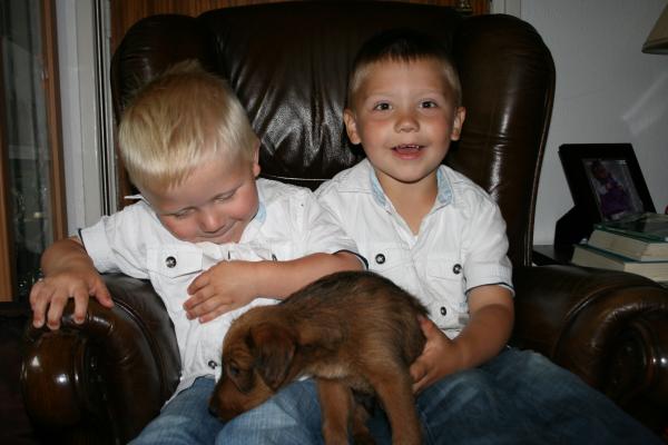 Merijn en Jesse met een puppy., geplaatst door mama Lizanne op 2008-07-11