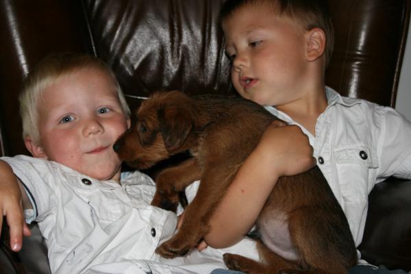 Merijn en Jesse met een puppy., geplaatst door mama Lizanne op 2008-07-11
