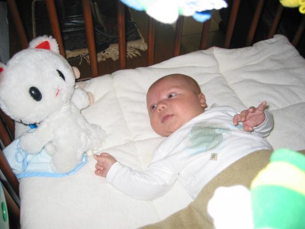 Merijn in z'n bed, geplaatst door papa Boudewijn op 2004-07-27