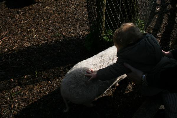 Center Parcs, geplaatst door mama Lizanne op 2009-04-13