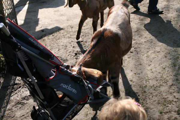 Center Parcs, geplaatst door mama Lizanne op 2009-04-13