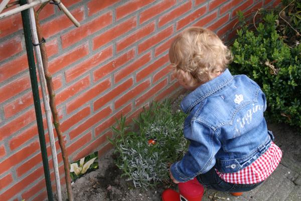 Eieren zoeken met Pasen, geplaatst door mama Lizanne op 2009-04-14