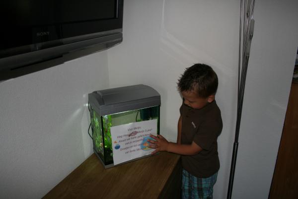 Merijn 5 jaar!, geplaatst door mama Lizanne op 2009-06-06