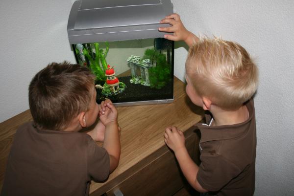 Merijn 5 jaar!, geplaatst door mama Lizanne op 2009-06-06