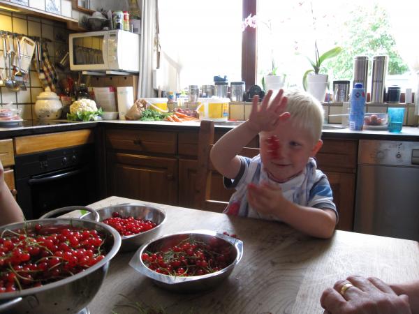 Jesse bezig met de bessen!, geplaatst door mama Lizanne op 2009-06-11