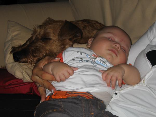 Merijn en Floyd slapend bij mama., geplaatst door mama Lizanne op 2004-11-01