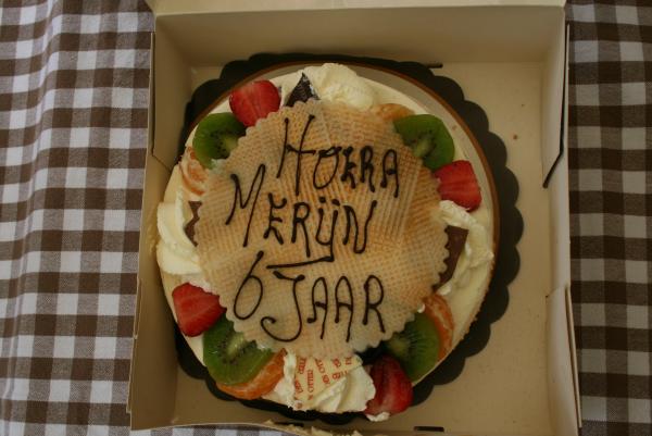 Merijn 6 jaar!, geplaatst door mama Lizanne op 2010-06-02