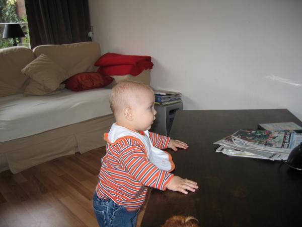 Merijn is de teletubbies aan het kijken., geplaatst door mama Lizanne op 2005-04-19