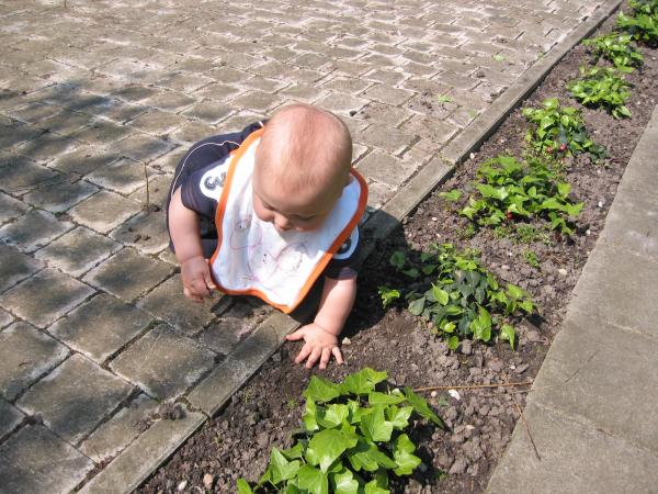 Merijn bezig in de tuin., geplaatst door mama Lizanne op 2005-04-30