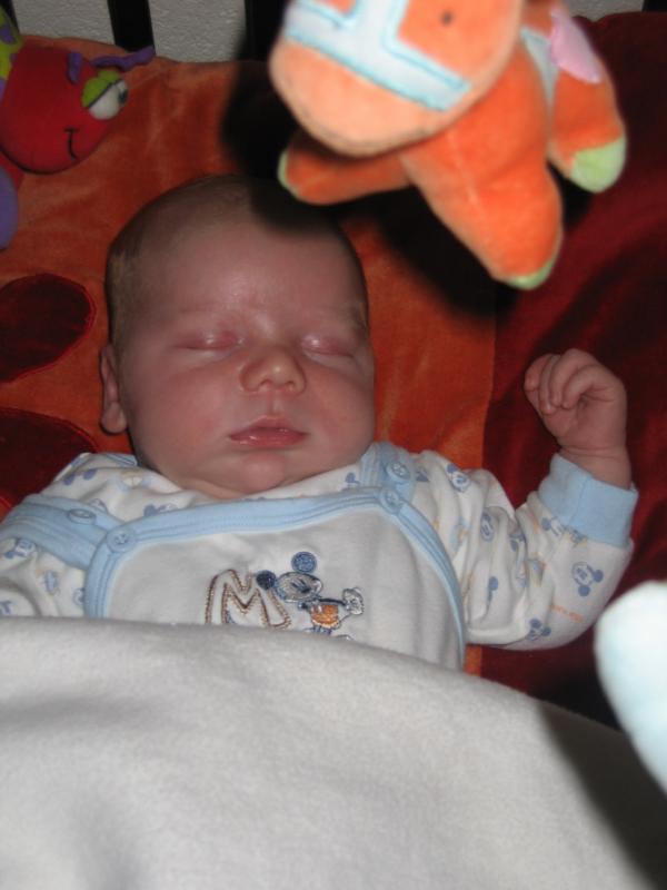 Jesse aan het slapen in de box., geplaatst door mama Lizanne op 2005-09-01