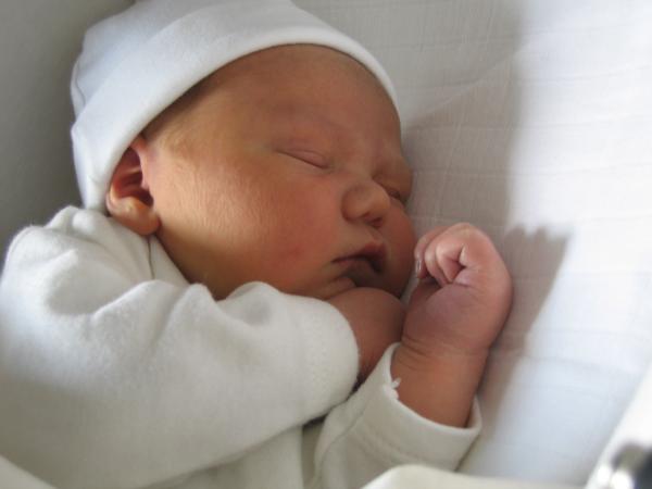 Merijn slapend 2, geplaatst door papa Boudewijn op 2004-06-03