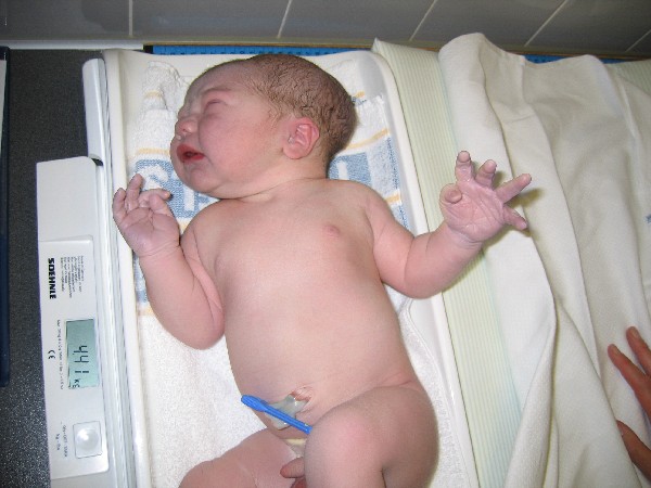 Net na de geboorte - Merijn wordt aangekleed 2, geplaatst door papa Boudewijn op 2004-06-03