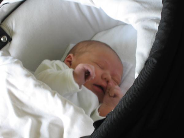 Merijn slapend in z'n wandelwagen 2, geplaatst door papa Boudewijn op 2004-06-08