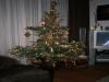 Onze kerstboom!, geplaatst door mama Lizanne op 2007-12-12