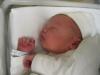Net na de geboorte - slapend, geplaatst door papa Boudewijn op 2004-06-03