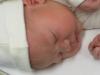 Net na de geboorte - slapend 2, geplaatst door papa Boudewijn op 2004-06-03
